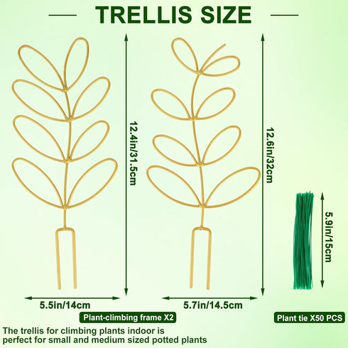 2 12 Inch 50 AUGSUN Pcs Gold Trellis Leaf Shape Metal Plant Support with Ties for Climbing Potted Plants Houseplant
