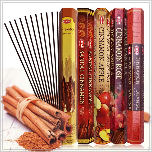 Hem Incense Sticks Variety Pack #8 with Incense Stick Holder, 5 Cinnamon Based Fragrances