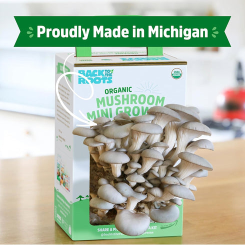 10 Back to the Roots Organic Mini Mushroom Grow Kit, Harvest Gourmet Oyster Mushrooms In days, Top Gardening Gift