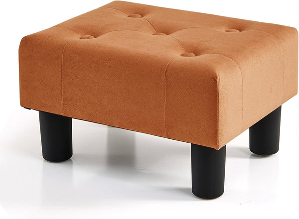 BRIAN & DANY Small Foot Stool, Velvet Foot Stools with Legs, Stable