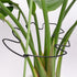 Yohsnor 5PCS Black Monstera Plant Stem Support 9x7.6in - Adjustable & Durable