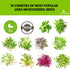 10 Pack Variety Microgreens Seeds - Broccoli, Sunflower, Pea, Salad Mix, Daikon Radish, Kale, Amaranth, Spicy Salad