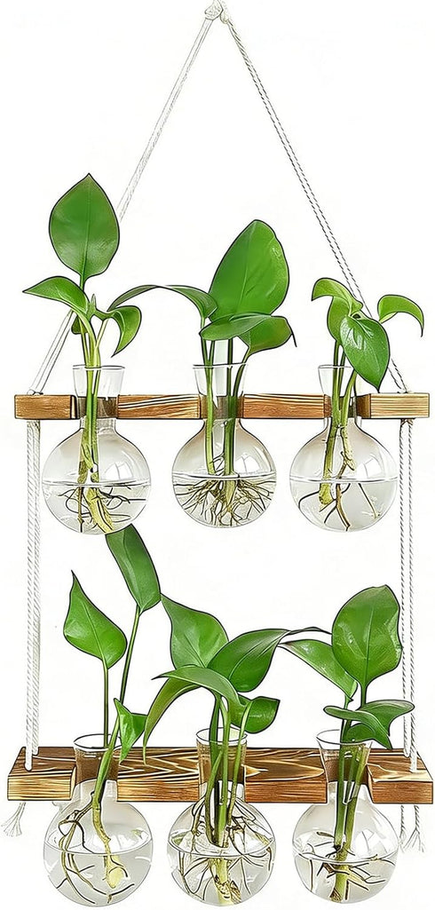 2 6 Bulb Renmxj Plant Propagation Station Wall Hanging, Plant Terrarium with Tiered Wooden Stand for Hydroponics