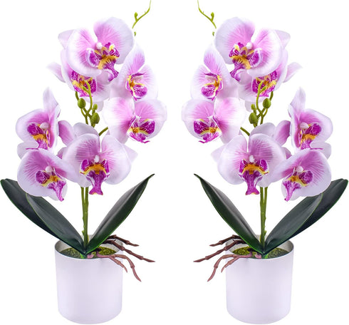 XONOR 2 Pieces Artificial Orchid Flowers, Potted Fake Orchids with Plastic Vase for Home Decor, Office, Wedding