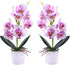 XONOR 2 Pieces Artificial Orchid Flowers, Potted Fake Orchids with Plastic Vase for Home Decor, Office, Wedding