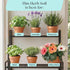 4qt Rosy Soil Herb Mix - Organic Potting Mix for Herbs - Enriched with Biochar, Worm Castings for Root Development