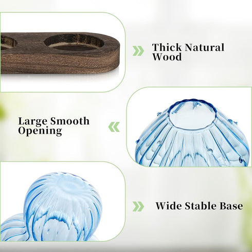 3Pcs Glasseam Mushroom Plant Propagation Station: Glass Plant Terrarium Jar with Wood Stand Unique Hydroponic Planters