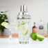 True Glass Cocktail Shaker, 13.5 oz with 7 Classic Recipes and Measurements for Home Bar Accessories