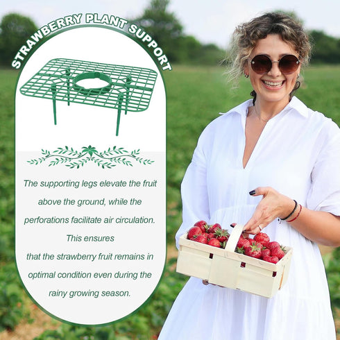 Qumenan 5 Pack 4 Strawberry Plant Support Square Strawberry Supports for Garden Green Holder Plastic Stand with Sturdy