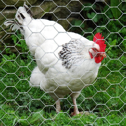 20GA 24 inches 25 1 inch Galvanized Hexagonal Poultry Netting Chicken Wire x feet x Mesh