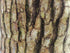 Natural Log Pattern Tissue Box Holder - Eco-Friendly Design