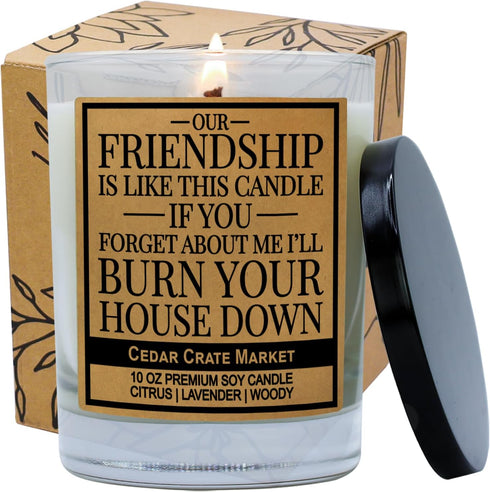 CEDAR CRATE MARKET Our Friendship is Like This Candle - Lavender Scented 100% Soy