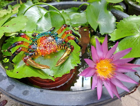 6" WitnyStore Red Rainbow Crab Artistic Blown Glass Figurine Premium Hand-Blown Statue Tabletop Decoration Unique