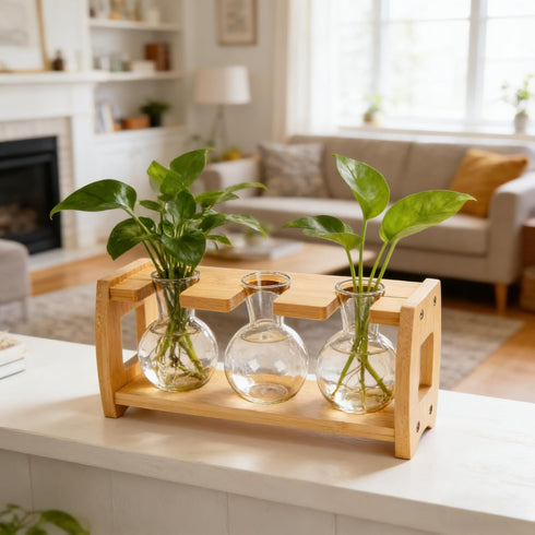 2 Pack 8 Bulbs Pumtus Propagation Stations with Bamboo Stand, Desktop Water Plant Terrarium Vase, Retro Plant