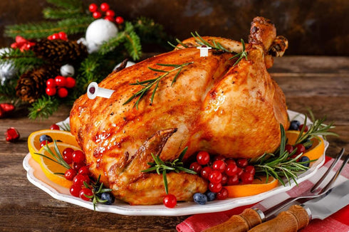 Harniruco 2 inches 2 Set, Basic Plastic Pop-up Poultry Turkey Thermometer for Cooking, in Length Piece Meat Thermometer