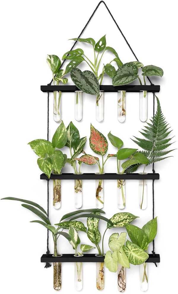 Mkono 3 Tiered Wall Hanging Plant Terrarium with Wooden Stand Mini Test
