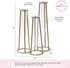 3 Propagation Station Terrariums with Gold Metal Stand - Kate Aspen Glass Test Tube Planters for Indoor Plant, Air