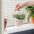 Yishang 2.5 inch White Terracotta Pots with Drainage Holes, Mini Clay Ceramic Planter, 12 Pack for Indoor/Outdoor