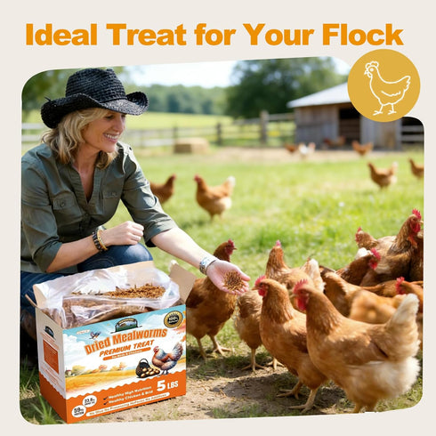 5LB Dried Mealworms, Non-GMO Meal Worms for Chickens & Birds, High Protein Chicken Feed, Natural Chicken Worms Ideal