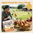 5LB Dried Mealworms, Non-GMO Meal Worms for Chickens & Birds, High Protein Chicken Feed, Natural Chicken Worms Ideal