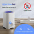 Small Air Purifiers for Home, Mini HEPA Air Cleaner for Desktop, Bedroom, Office, Portable for Smoke, Dust