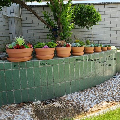 Yishang 3.5 Inch Shallow Terra Cotta Pots with Saucer/Tray - Ceramic Clay Planter for Succulent & Cactus Nursery