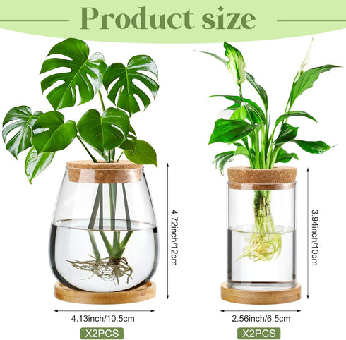 4 Layhit Pcs Plants Propagation Stations vases Glass Planters with Wooden Lid and Bamboo Stand for Hydroponic Plants