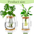 4 Layhit Pcs Plants Propagation Stations vases Glass Planters with Wooden Lid and Bamboo Stand for Hydroponic Plants