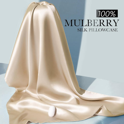 100% Mulberry Silk Pillowcase for Hair and Skin, 22 Momme Natural Silk Pillow Cover with Zipper, Beige