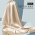 100% Mulberry Silk Pillowcase for Hair and Skin, 22 Momme Natural Silk Pillow Cover with Zipper, Beige