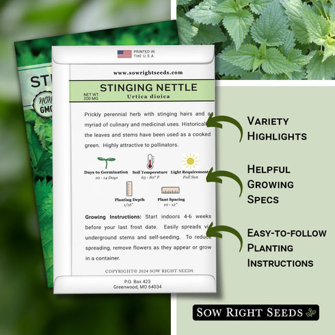 (1) Sow Right Seeds - Stinging Nettle Seeds for Planting - Urtica Dioica - Non-GMO Heirloom Variety - Herb