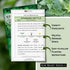 (1) Sow Right Seeds - Stinging Nettle Seeds for Planting - Urtica Dioica - Non-GMO Heirloom Variety - Herb