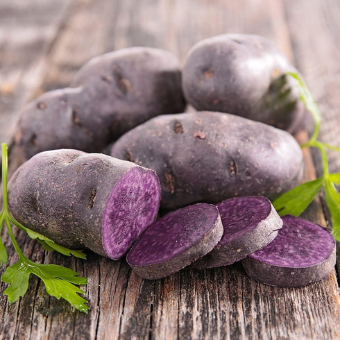 3 2026-5 TomorrowSeeds - Colors Mix Seed Potatoes - USDA Certified for Growers Blue Red Gold Potato Adirondack Pontiac