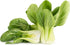 1000 Baby Bok Choy Seeds - Shanghai Green Stem - Heirloom Non-GMO
