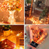 24 Pack 7Ft 20Led Ineximun LED Fairy Lights Battery Operated Warm White Mini String Lights Waterproof Christmas Lights