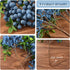 HUIANER 4pcs Artificial Blueberry with Stems, Lifelike Fruits for Valentine's Day DIY Bridal Bouquet Home Decoration
