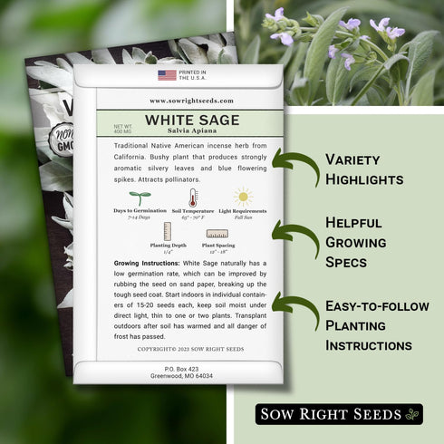 Packet (1) Sow Right Seeds - White Sage Seed for Planting - Non-GMO Heirloom with Instructions for Planting and Growing
