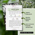 Packet (1) Sow Right Seeds - White Sage Seed for Planting - Non-GMO Heirloom with Instructions for Planting and Growing