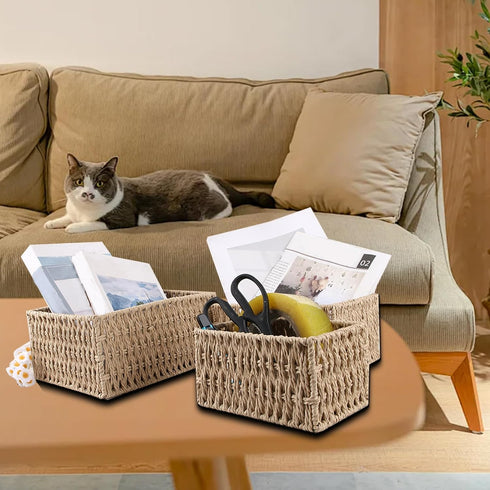 Paper Woven Storage Baskets with Iron Frame, Set of 3 Desk Organizers