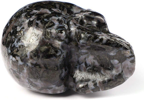 Skullis 2.0" Gabbro Crystal Skull - Hand Carved Gemstone Fine Art Sculpture, Reiki Healing Stone Statue