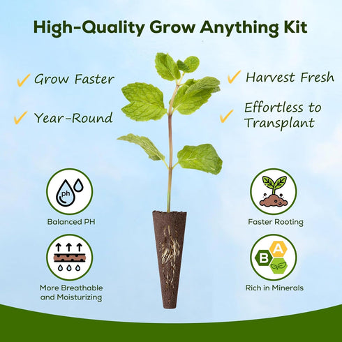 12-Pod 7 Pack Gourmet Herb Seed Kit Compatible with All Hydroponics, Varieties - Basil, Parsley, Thyme, Mint, Cilantro