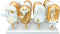 Wood Cakesicle Stand Display, 12 Count Popsicle Sticks Holder for Dessert Table at Wedding, Shower, Birthday Parties