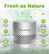 Fridge Deodorizer, Lasts 10 Years, Odor Eliminator, Bamboo Charcoal Air Purifying Bag, Silver
