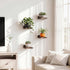 5X5 Inches Set 4, Fixwal Small Shelf for Wall, Floating Shelves of Rustic Wood Small Wall Mounted Shelves for Bedroom