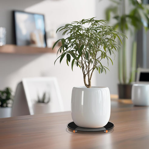 NBYONE Indoor,8inch 360 -8" (8inch Plant Stand with Wheels Plant Stand with Wheels Swivel Casters Tempered Glass Plant