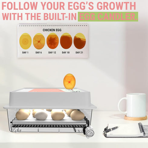 OBI-36 36 Egg Incubator for Hatching - Eggs - Stable Temperature & Humidity Control with Eggloo Insulation, Candler