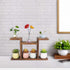 Wood Desktop Plant Stand Indoor - Windowsill Plant Shelf, Small Tabletop Holder for Succulent Herb Display Rack
