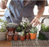 Wishlotus Mini Gardening Tools, 3Pcs Portable Hand Tools Set for Indoor Gardening and Succulents