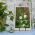 Plate Stands for Display, 4 Pcs 4-1/4 Inch Holder, Metal Iron Picture Frame Holders for Book, Photo, Small Easels