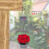 SELEWARE 30PCS Screw in Hooks for Hanging Outdoor String Lights, Black Wall Hooks for Patio Gazebo Fence